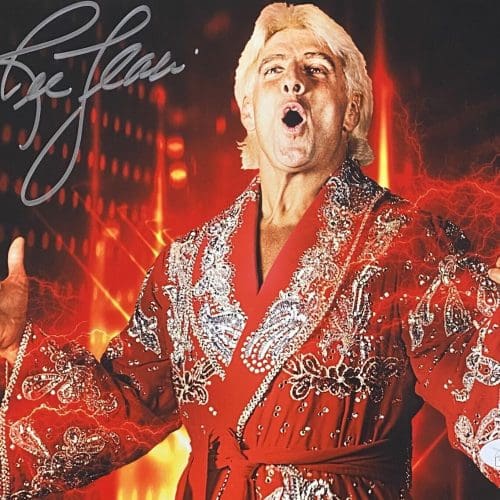 ダウンベスト 3XL B.E.C PITS 刺繍 ピットブル ブラック AKOO Stone Cold Steve Austin Signed Autographed WWE Austin 3:16 Leather