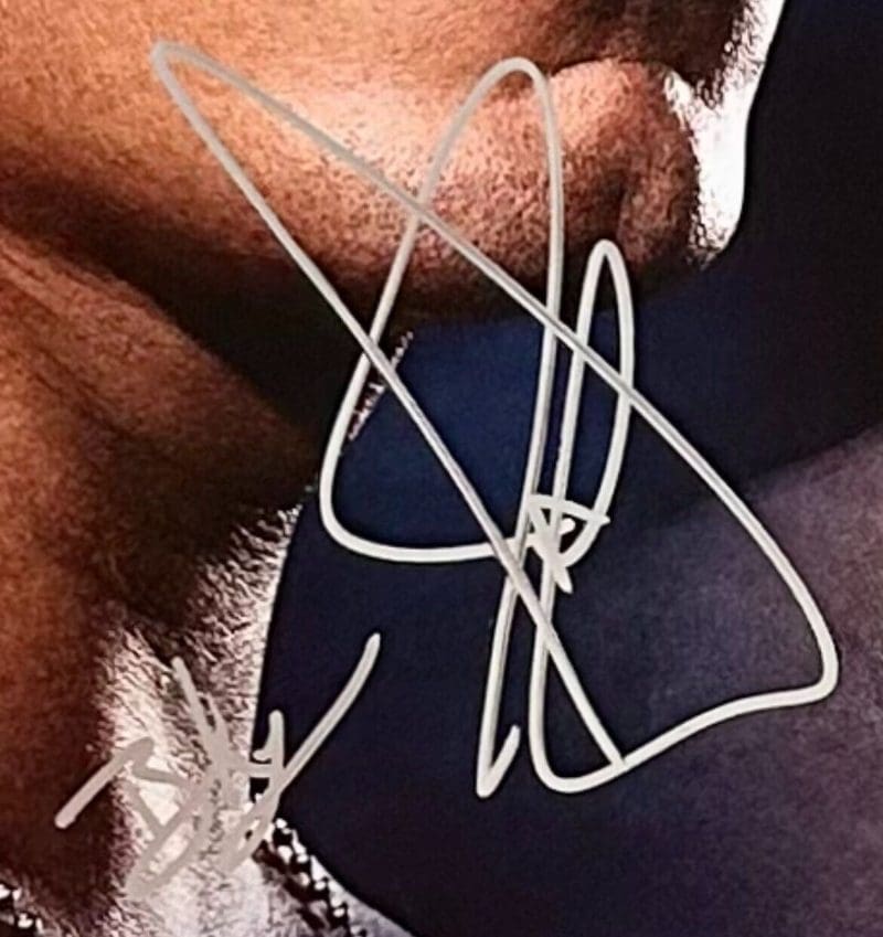 Brock Lesnar & John Cena Signed SummerSlam 40X27 Poster JSA Authenticated - Image 2