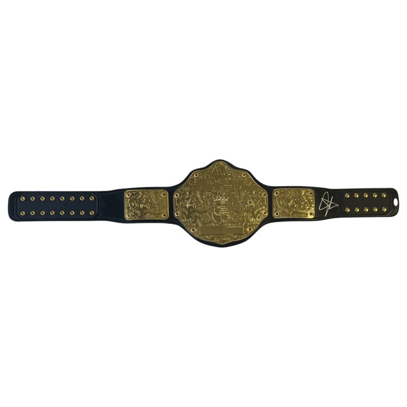 John Cena Signed World Heavyweight Championship Commemorative Belt JSA Authentic