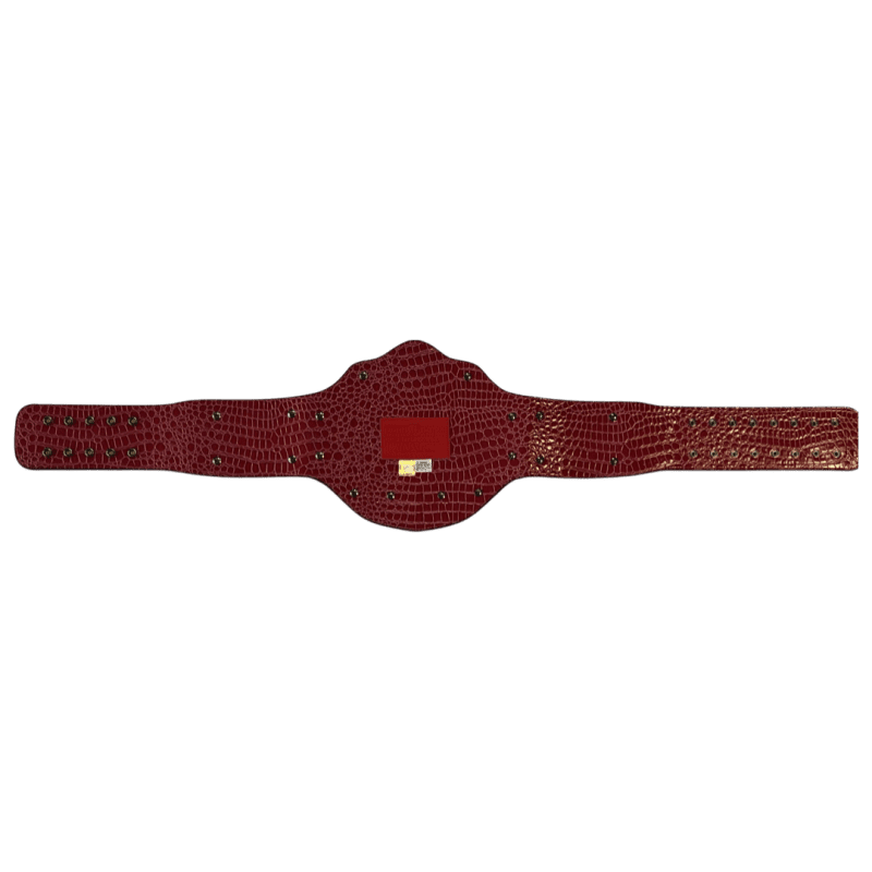 John Cena Signed World Heavyweight Championship Commemorative Belt JSA Authentic - Image 3