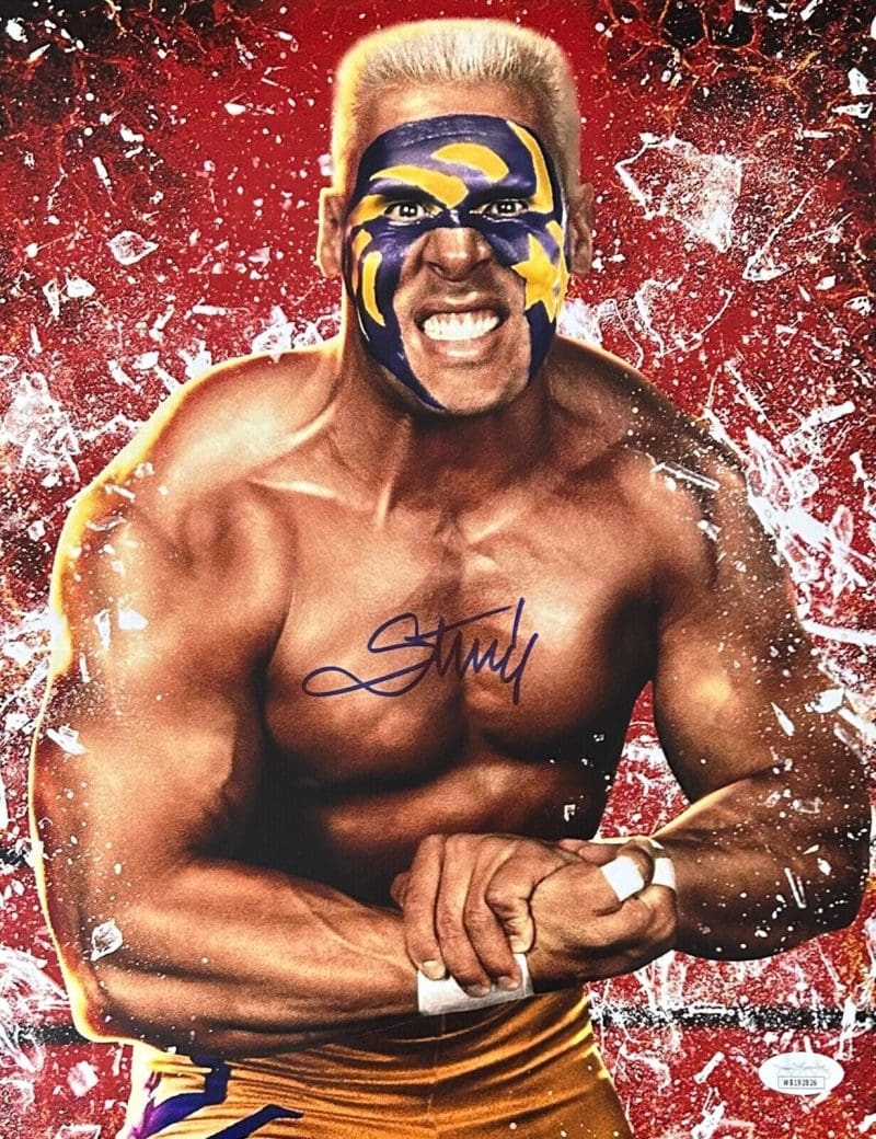 STING Signed Autographed 11x14 Photo JSA Authenticated #1 WCW WWE AEW