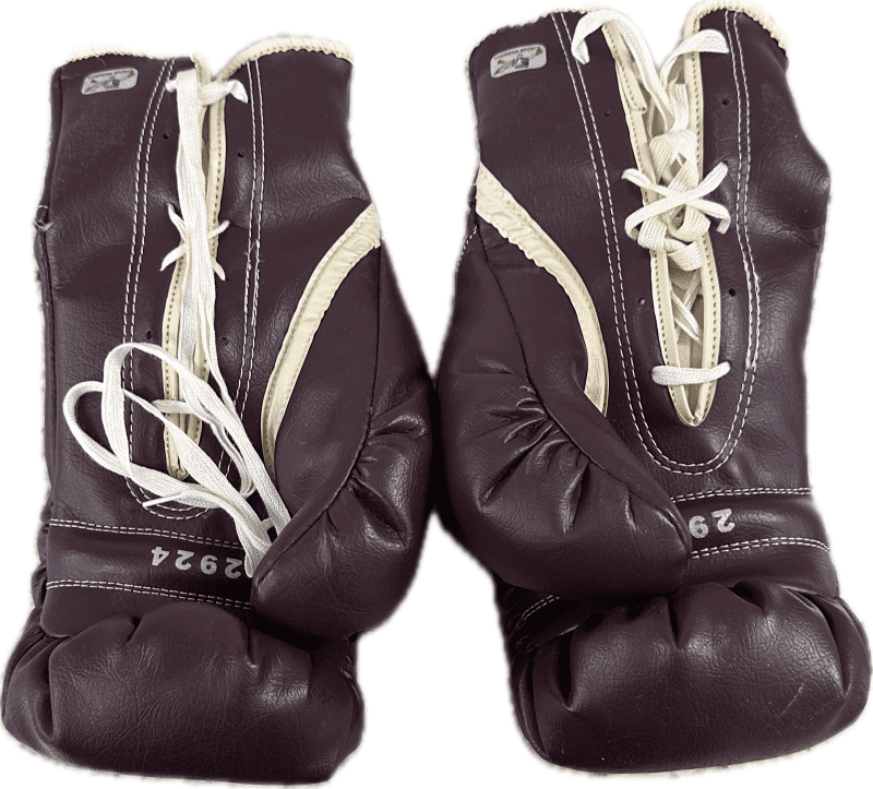 Mike Tyson Signed Vintage Pair of Boxing Glove JSA & Tyson Authenticated (2924) - Image 7