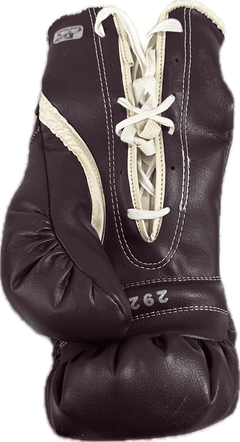 Mike Tyson Signed Vintage Pair of Boxing Glove JSA & Tyson Authenticated (2924) - Image 9