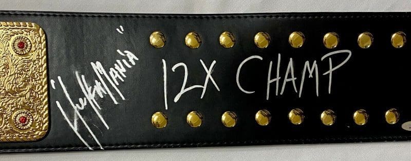 Hulk Hogan Autographed WCW Full Size Replica Championship Belt TriStar 7703849 - Image 3