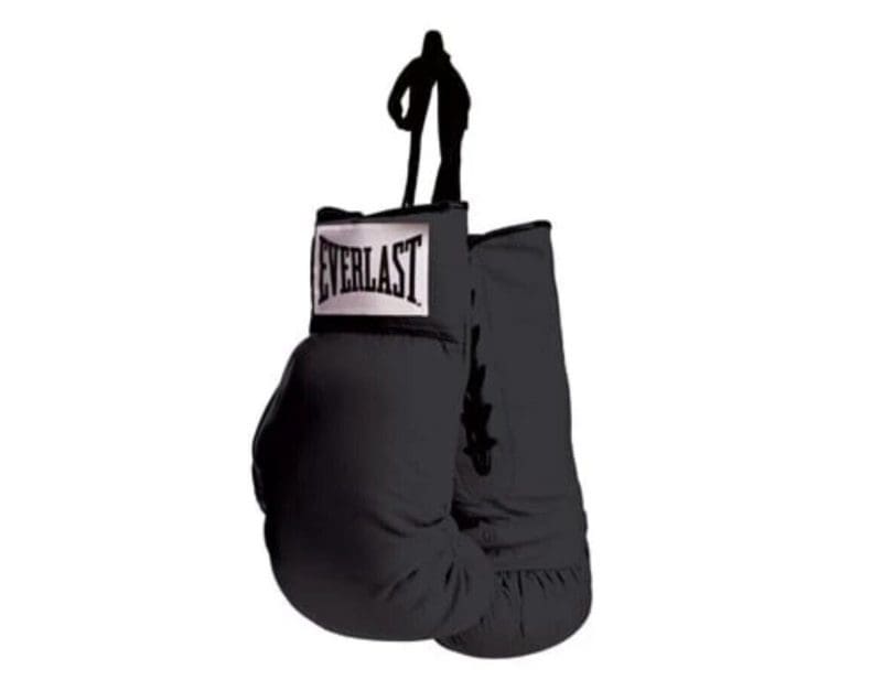 Everlast Black Pair Lace Autograph Synthetic Leather (Vinyl)  Boxing Gloves