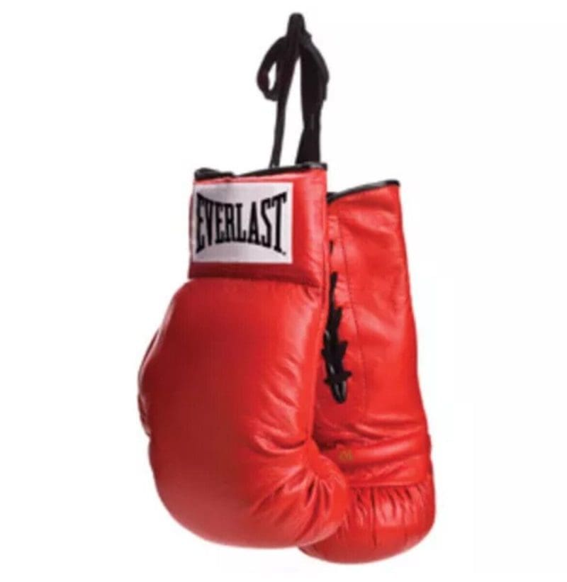 Everlast Red Pair Lace Autograph Synthetic Leather (Vinyl)  Boxing Gloves
