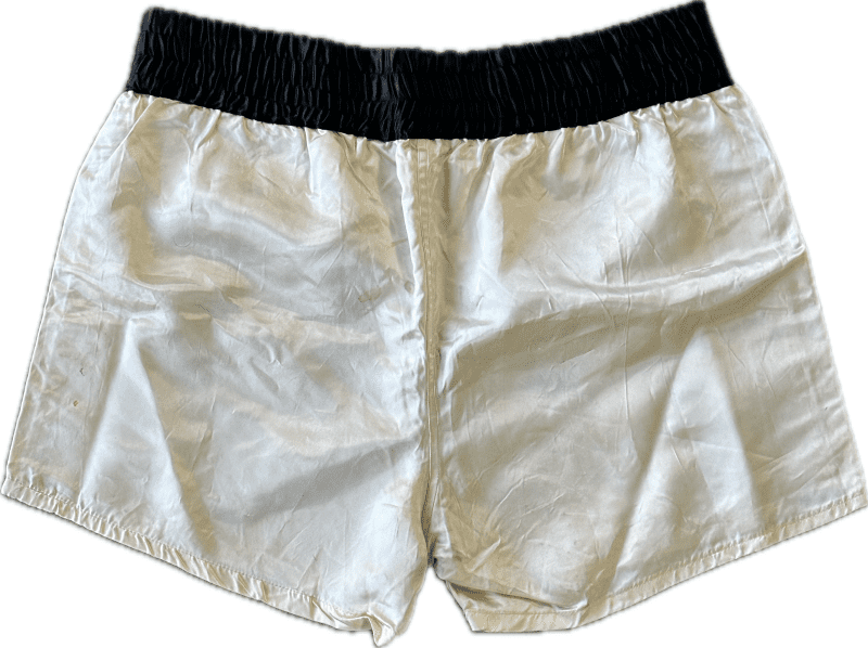Muhammad Ali Circa 1980 Training-Worn Everlast Trunks Authen By PhotoMatch.Com - Image 2