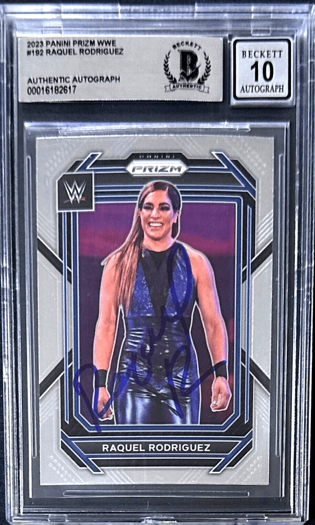 WWE PANINI PAIGE 25シリ　サイン　Tie-Dye　カード WWE PANINI PAIGE 25シリ サイン Tie-Dye カード
