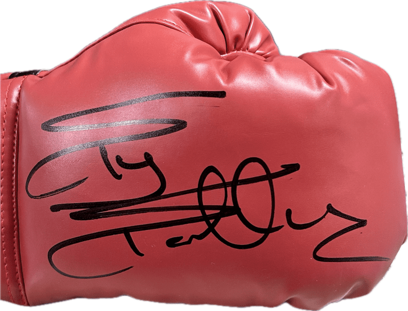 Silvester "Sly" Stallone Signed Autograph Red Everlast Boxing Glove JSA Right H - Image 2