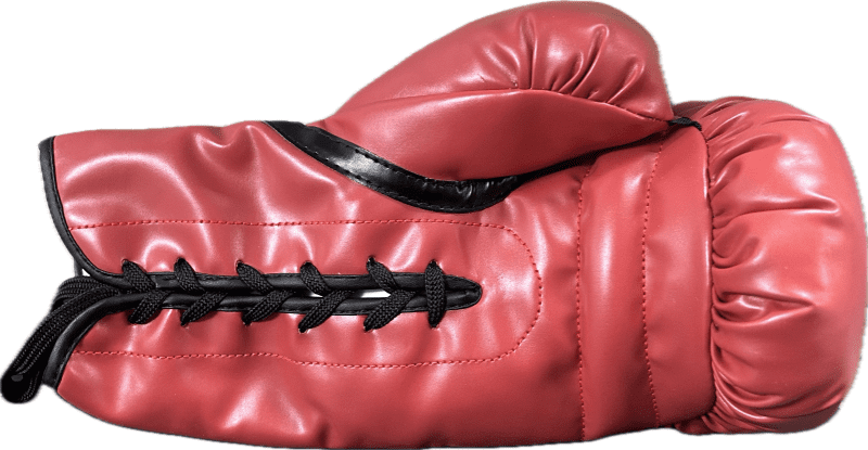 Silvester "Sly" Stallone Signed Autograph Red Everlast Boxing Glove JSA Left H - Image 4