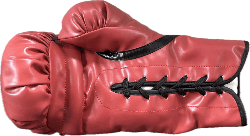 Silvester "Sly" Stallone Signed Autograph Red Everlast Boxing Glove JSA Right V - Image 4