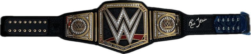 Ric Flair Signed Autographed WWE World Heavyweight Championship Replica Belt JSA