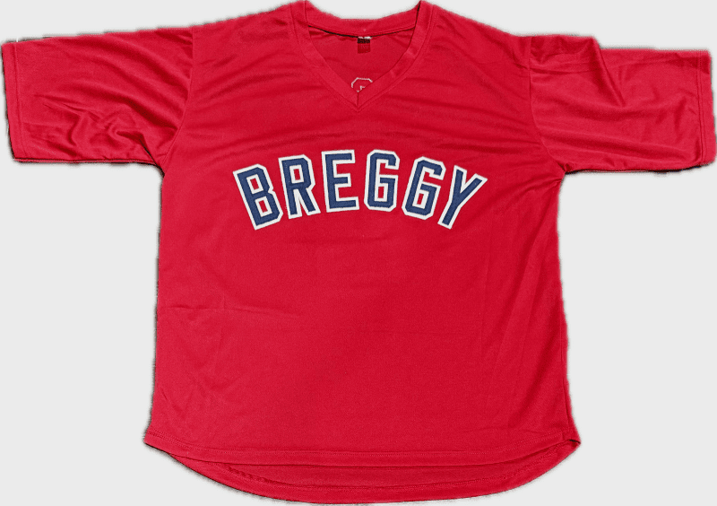 Alex Bregman  Signed Autographed Custom Red/Blue Jersey JSA Authenticated - Image 3