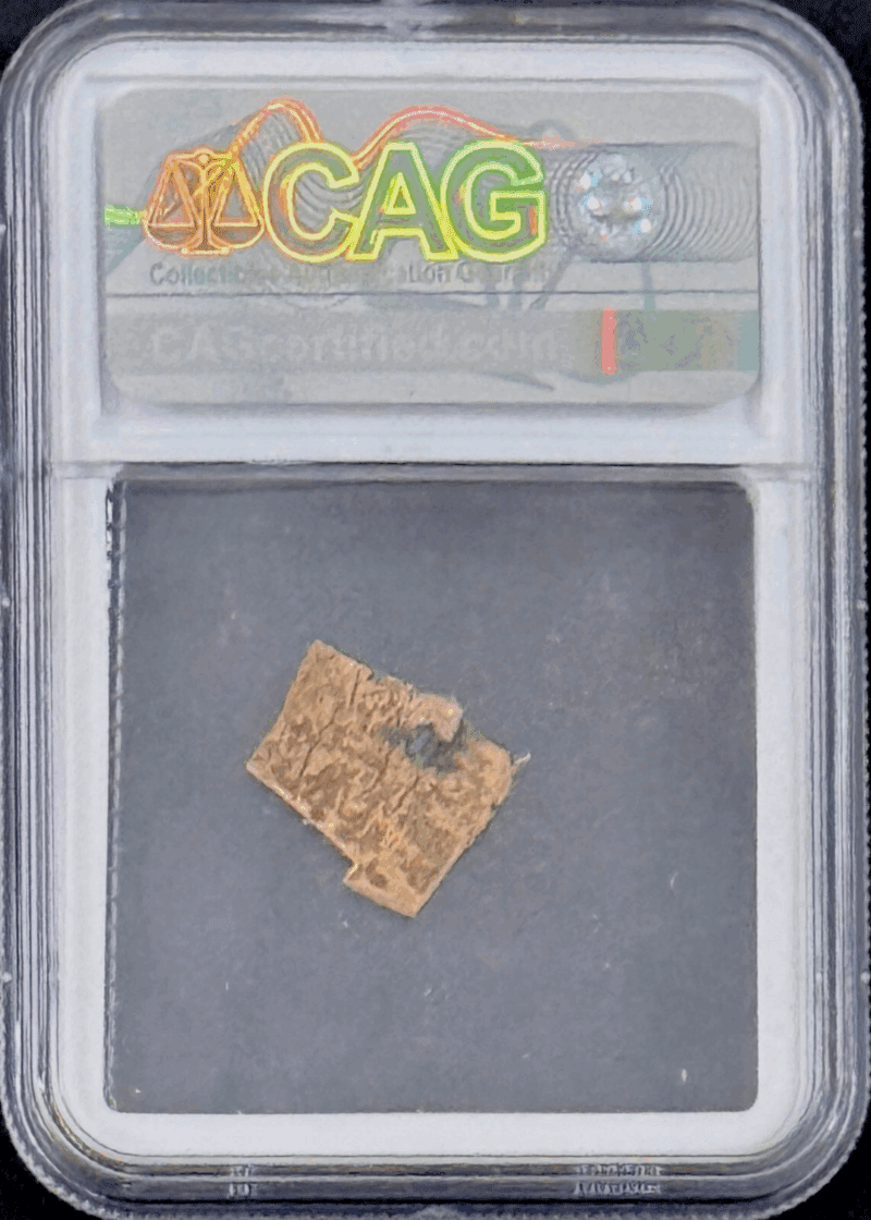 Napoleon Bonaparte Swatch From Trousers Worn During Siege of Moscow CAG Authen - Image 2