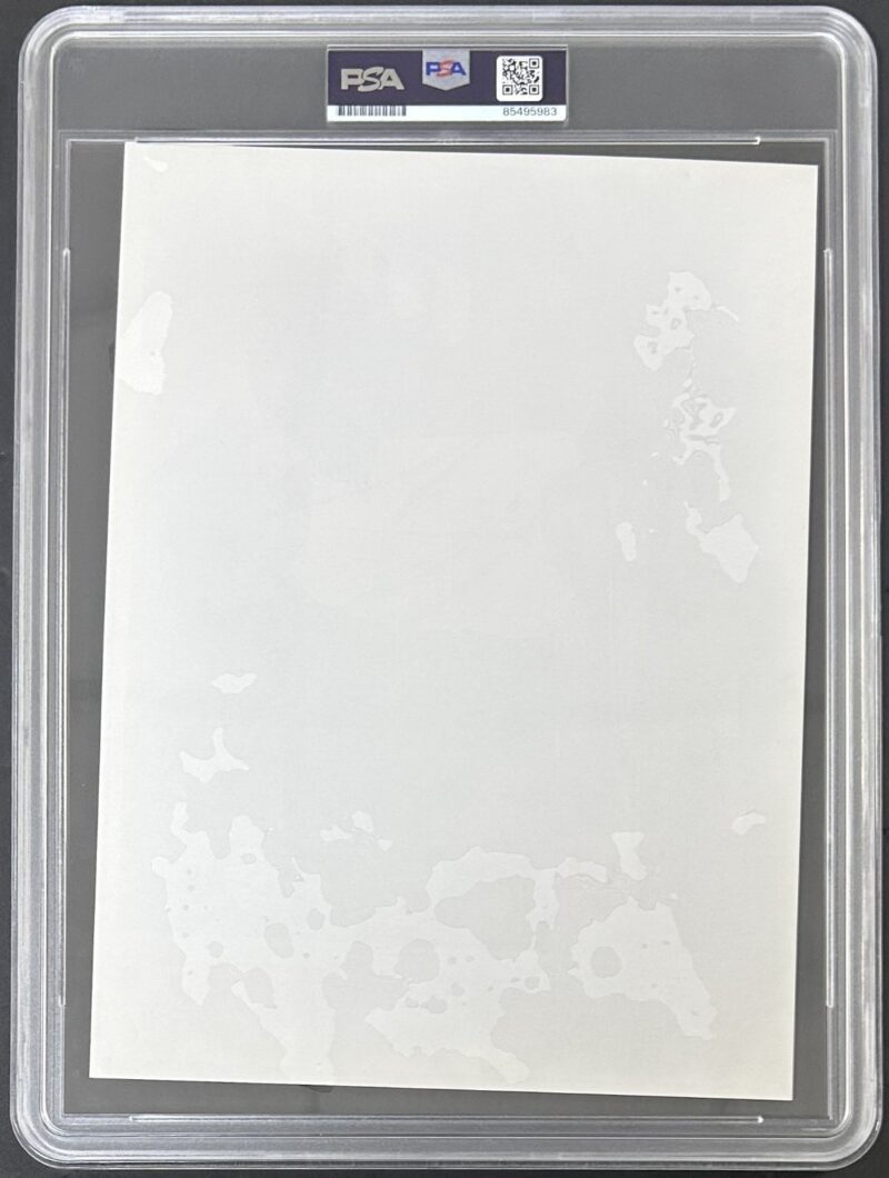 Mike Tyson Signed 1989 Type 3 Photograph PSA/DNA Honorary Doctorate - Image 4