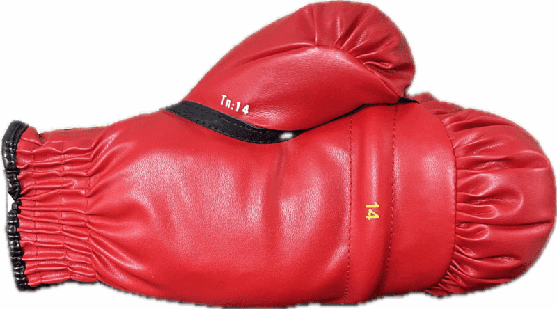Mike Tyson Evander Holyfield & Don King Signed Red Boxing Glove Beckett Letter 1 - Image 4
