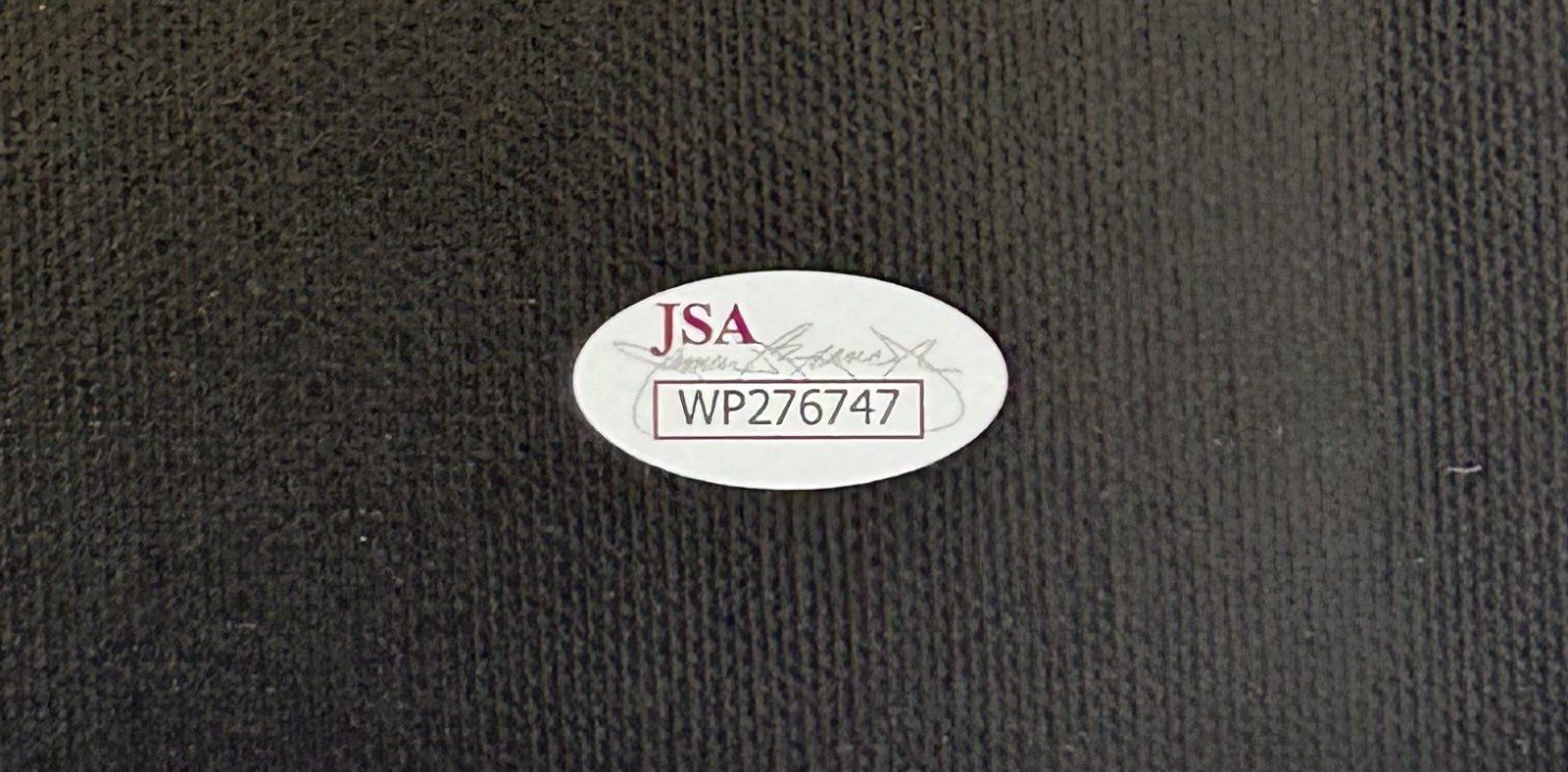 Mike Tyson Original Handprint Unstretched 20x36 Canvas Signed JSA WP276747 Belts - Image 5