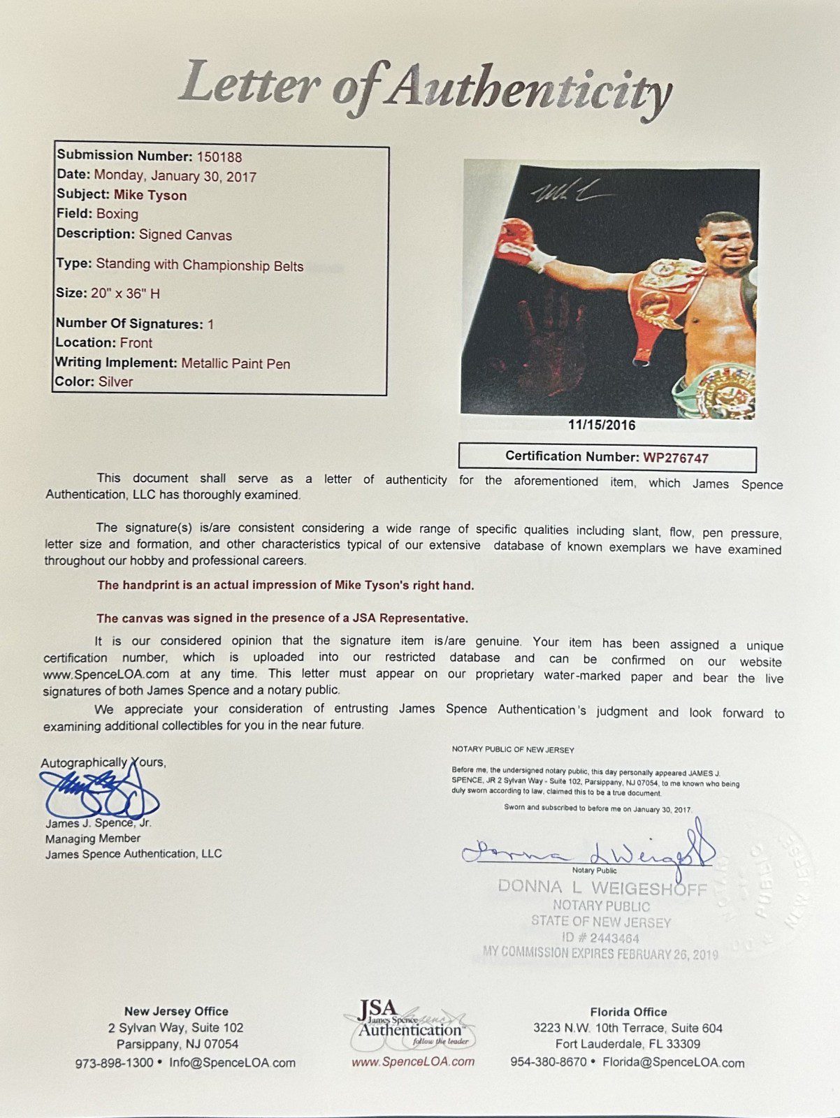 Mike Tyson Original Handprint Unstretched 20x36 Canvas Signed JSA WP276747 Belts - Image 6