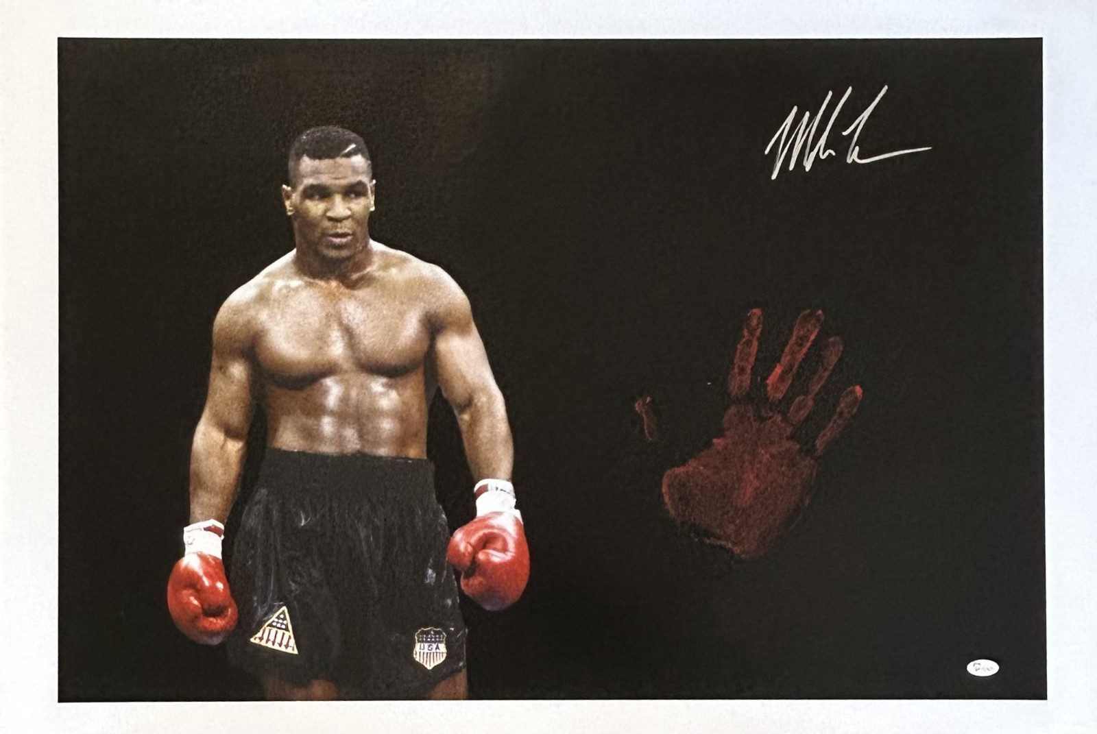 Mike Tyson Original Handprint Unstretched 20x36 Canvas Signed JSA WP276782 COR