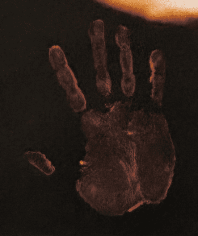 Mike Tyson Original Handprint Unstretched 20x36 Canvas Signed JSA WP276747 Belts - Image 3