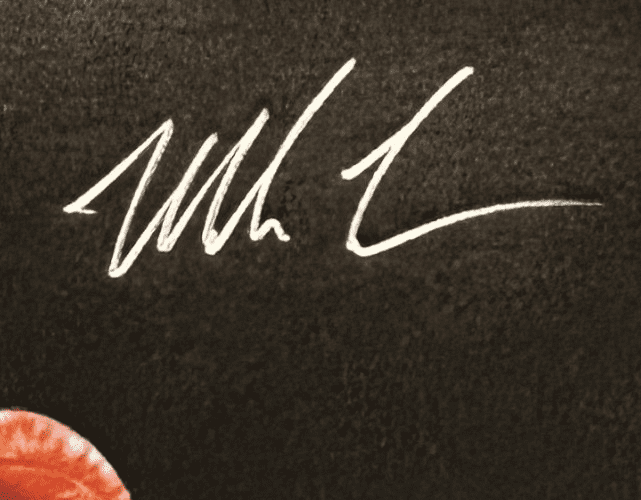 Mike Tyson Original Handprint Unstretched 20x36 Canvas Signed JSA WP276747 Belts - Image 4