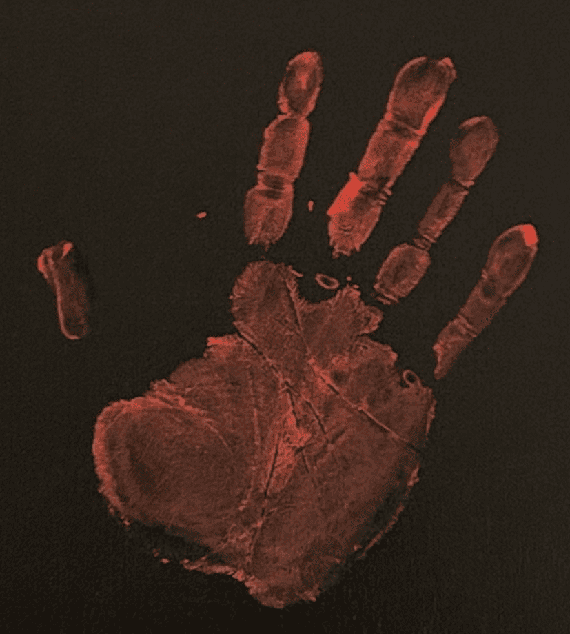 Mike Tyson Original Handprint Unstretched 20x36 Canvas Signed JSA WP276782 COR - Image 3