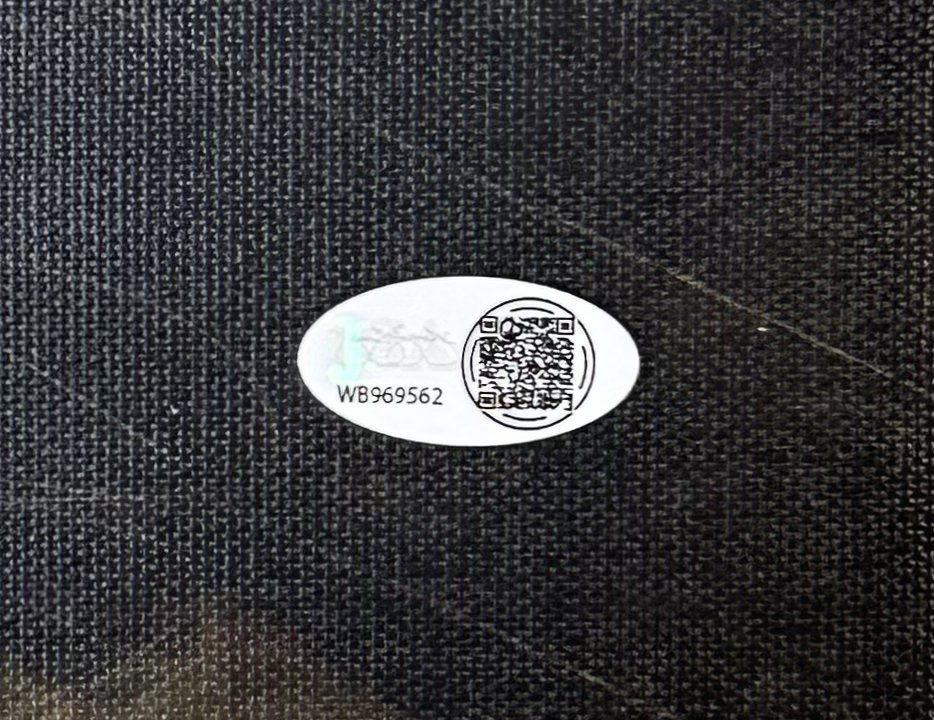 Sylvester Stallone Signed Rocky 30x20 Canvas Print JSA Authentic John Rivoli 4 - Image 3