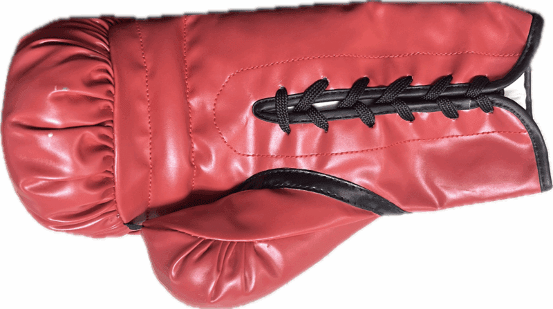 Silvester "Sly" Stallone & Rocky Balboa Signed Red Everlast Boxing Gloves JSA B - Image 5