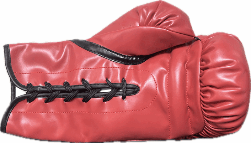 Silvester "Sly" Stallone & Rocky Balboa Signed Red Everlast Boxing Gloves JSA B - Image 8