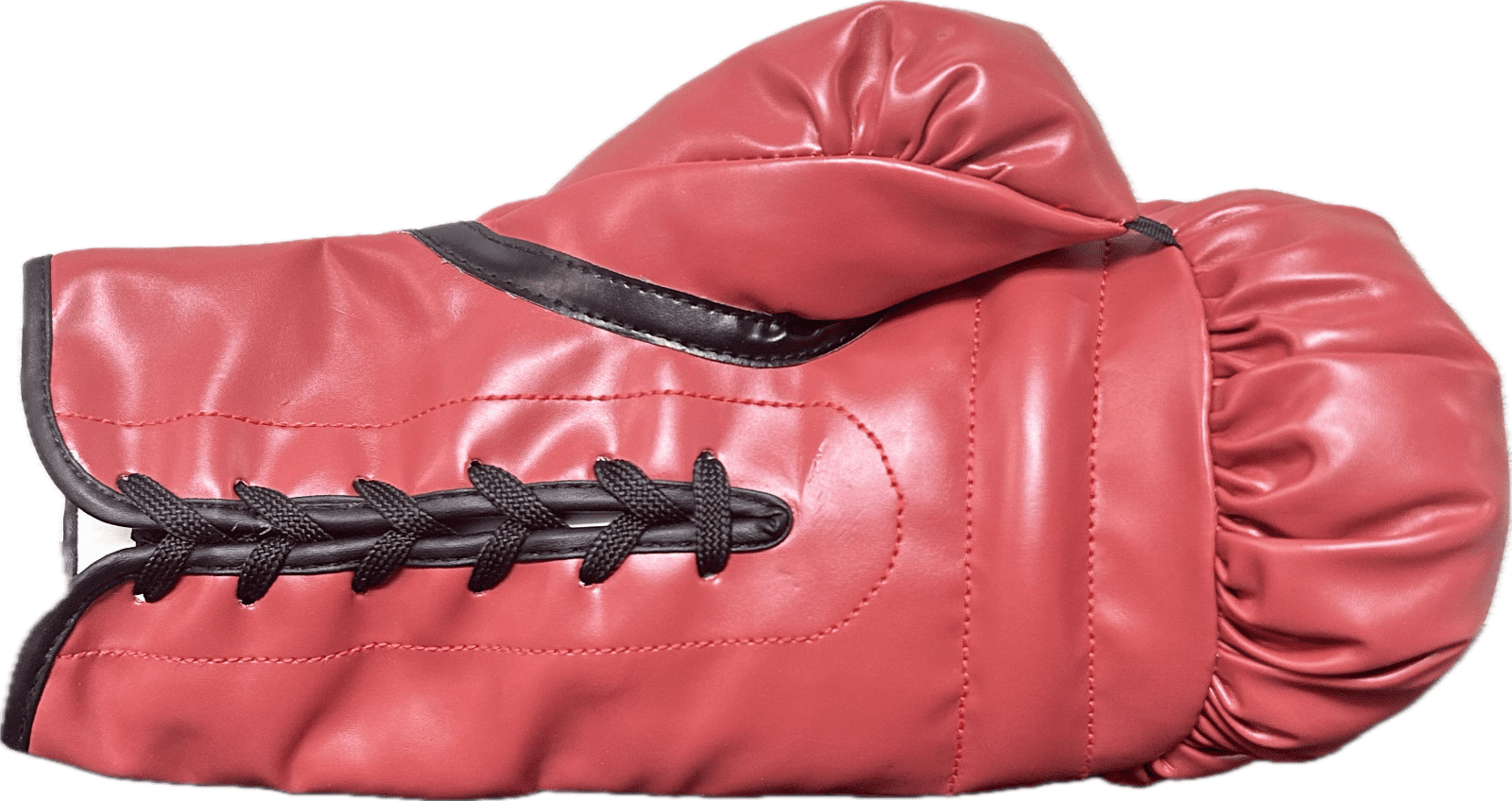 Silvester "Sly" Stallone & Rocky Signed Autograph Red Everlast Boxing Gloves JSA - Image 4