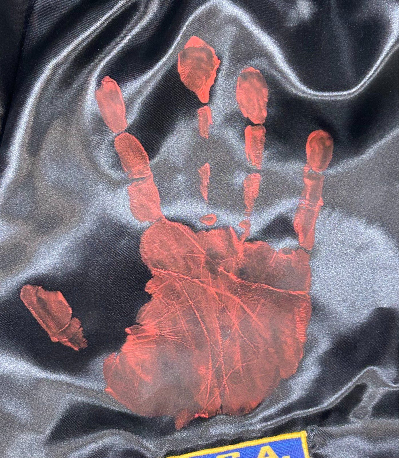 Mike Tyson Original Handprint & Signed Trunks JSA Full Letter WP276804 - Image 4