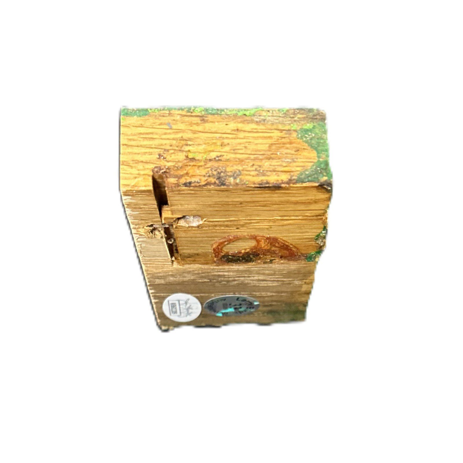 Larry Bird Signed Boston Garden Green Parquet Court Floor 4x2x1 JSA WB602209 - Image 4