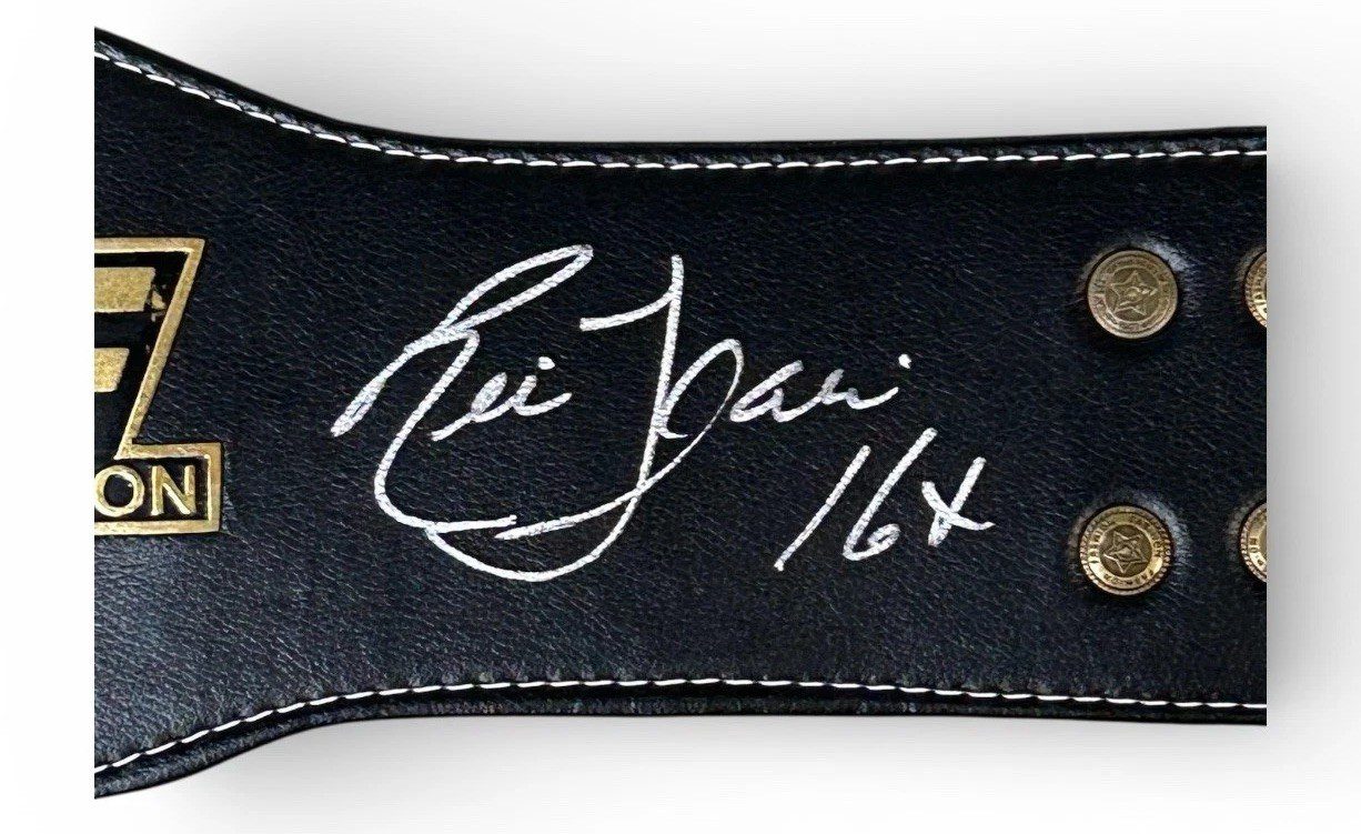 RIC FLAIR AUTOGRAPHED CUSTOM EAGLE BLACK & GOLD BELT JSA SILVER 16X - Image 3