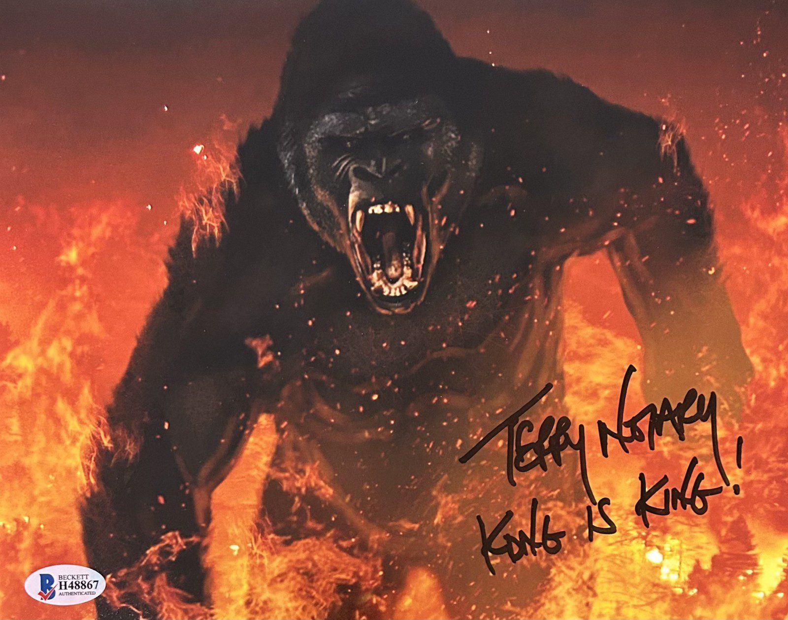 TERRY NOTARY SIGNED 8x10 PHOTO BECKETT "KONG SCHOOL ISLAND"