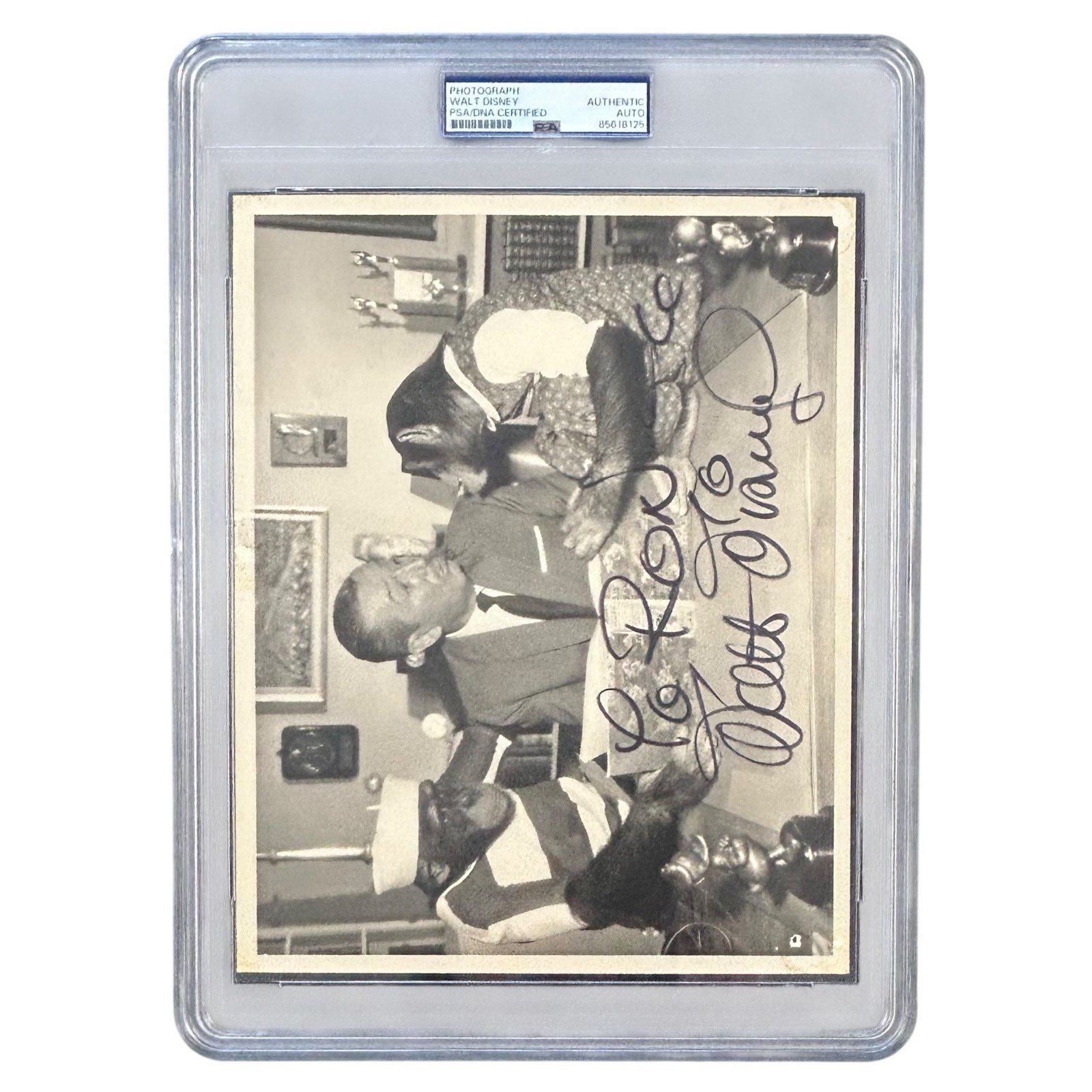 WALT DISNEY AUTOGRAPHED 8x10 PHOTOGRAPH PSA/DNA SLABBED 85618125 - Image 2