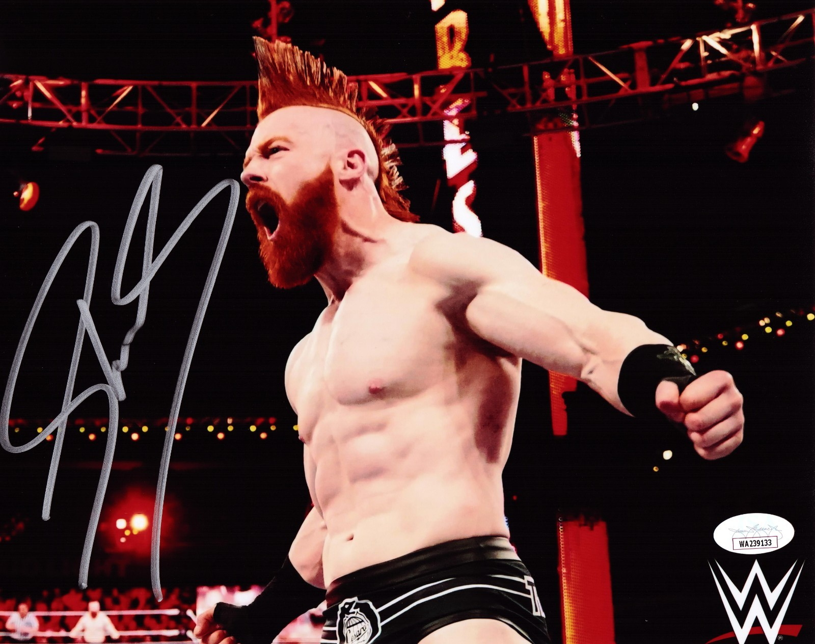 Sheamus Signed Autographed 8x10 Photo JSA Authenticated #2
