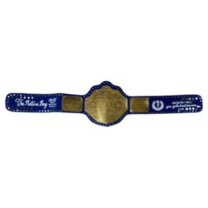 RIC FLAIR AUTOGRAPHED CUSTOM BLUE & GOLD BELT JSA NATURE BOY 16x Wooooo BLACK