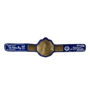 RIC FLAIR AUTOGRAPHED CUSTOM BLUE & GOLD BELT JSA NATURE BOY 16x Wooooo SILVER